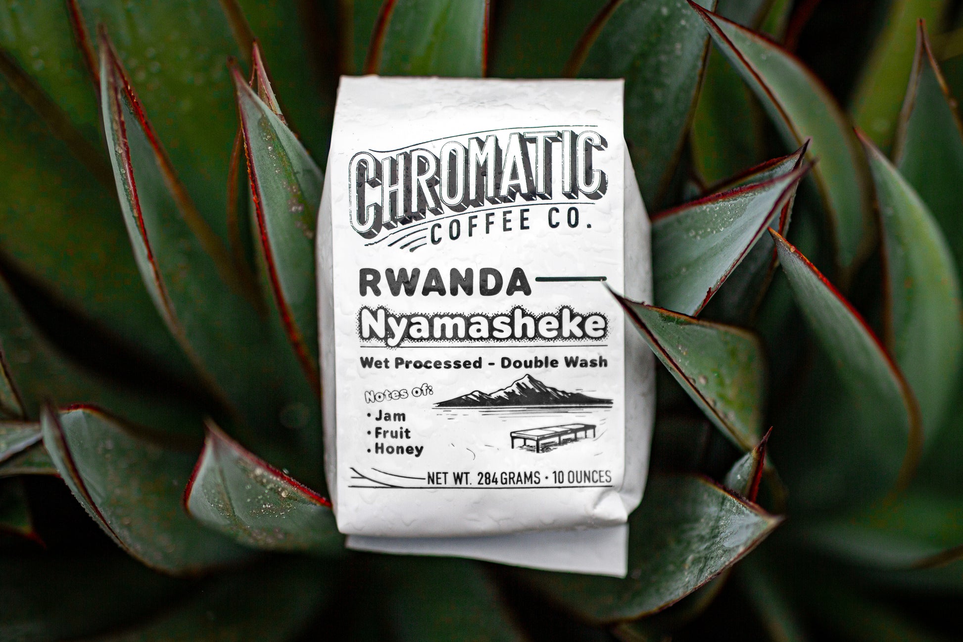 Photo of a bag of Rwanda Nyamasheke Kanzu Wet sitting on large green plant